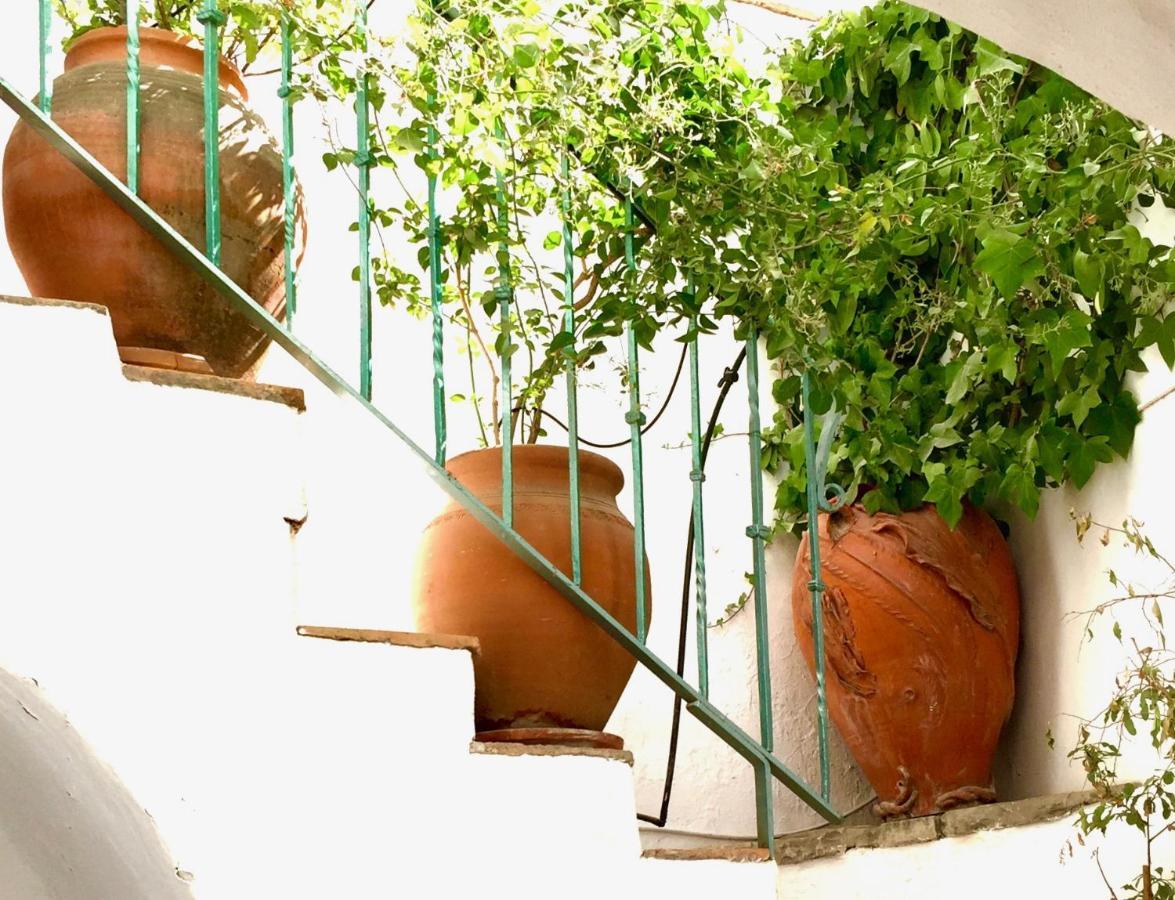Casa Del Patio Arabe Casas Vejer Debra Villa Vejer de la Frontera Exterior foto
